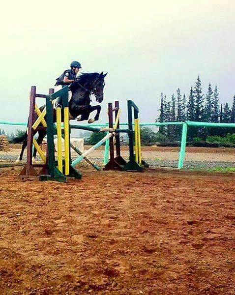 Abraj-atlas-d-equitation